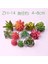 Fg La Jiao Cao Yapay Succulents Bitkiler Ev Bahçe Yatak Odası Oturma Odası Ofis Dekorasyon Aksesuarları Sahte Bitkiler Masaüstü Mini Küçük Bonsai (Yurt Dışından) 5