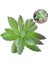 22 Yapay Succulents Yeşil Akın Bitki Kaktüs Sahte Çiçek Masaüstü Manzara Festivali Düğün Ev Bahçe Dekorasyonu (Yurt Dışından) 4