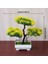 F3 Bonsai Küçük Ağaç Saksı Yapay Bitkiler Sahte Bitki Çiçekler Saksı Süsler Ev Odası Masa Dekorasyon Otel Bahçe Dekor Için (Yurt Dışından) 2