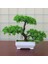 F5 Bonsai Küçük Ağaç Saksı Yapay Bitkiler Sahte Bitki Çiçekler Saksı Süsler Ev Odası Masa Dekorasyon Otel Bahçe Dekor Için (Yurt Dışından) 1