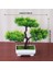 F5 Bonsai Küçük Ağaç Saksı Yapay Bitkiler Sahte Bitki Çiçekler Saksı Süsler Ev Odası Masa Dekorasyon Otel Bahçe Dekor Için (Yurt Dışından) 2