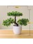 Lingzhishu Yeşil Yapay Bitkiler Saksı Bonsai Yeşil Küçük Ağaç Bitkiler Sahte Çiçekler Saksı Süsler Ev Bahçe Dekor Için Parti Otel Dekor (Yurt Dışından) 2