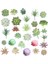 Stil 9 Yapay Succulents Bitki Simülasyonu Sahte Succulents Saksı Bitki Minyatür Sahte Bitkiler Sahte Succulents Ev Ofis Dekor (Yurt Dışından) 2