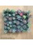 Stil 9 Yapay Succulents Bitki Simülasyonu Sahte Succulents Saksı Bitki Minyatür Sahte Bitkiler Sahte Succulents Ev Ofis Dekor (Yurt Dışından) 4