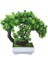 Açık Sarı Sakura Kartopu Simülasyon Bitki Saksı Çim Topu Bonsai Küçük Ağaç Ev Dekorasyon Çiçek Süs Yaratıcı Mini Top (Yurt Dışından) 3