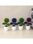 Açık Sarı Sakura Kartopu Simülasyon Bitki Saksı Çim Topu Bonsai Küçük Ağaç Ev Dekorasyon Çiçek Süs Yaratıcı Mini Top (Yurt Dışından) 5