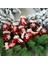Şampanya Spiral 6 Adet Noel Kolye Galvanik Şeker Noel Topu Yılbaşı Ağacı Süsler Yeni Yıl 2023 Noel Ev Dekor Navidad 2022 Hediye (Yurt Dışından) 5