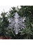 B02-5.5CM-10 Adet 10 Adet Noel Süsler Kristal Akrilik Şeffaf Kar Tanesi Kolye Noel Ağacı Asılı Dekorlar Yeni Yıl Noel Partisi Kaynağı (Yurt Dışından) 1