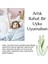 Aloe Vera Esansı Mum ve Buhurdanlık Için Yoğun 10,20,30 ml 2