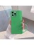 Apple iPhone 12 Pro Uyumlu Kılıf Zebana Love Yumuşak Silikon Kılıf Açık Yeşil 1