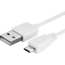 PaLeon 3.1A Micro USB Şarj ve Data Kablosu 1 mt