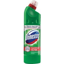 Domestos Int Domestos 750 gr Dag Esıntısı x 4