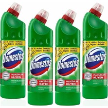 Domestos Int Domestos 750 gr Dag Esıntısı x 4