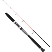 Daiwa Megaforce 170CM 90-210GR 2p Jig Olta Kamışı