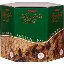 Kaçkar Bal Organik Yayla Balı 480 gr