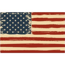Amerikan Bayrak Sticker - 18093