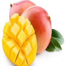 OnlineBahçem Tüplü Tropik Mango Fidanı