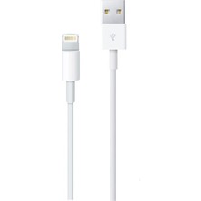 Paleon Lightning USB Hızlı Sarj ve Data Kablosu