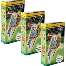 Energy Muhabbet Kuşu YEMI-300 Gram-3 Adet