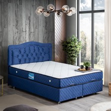 Setay Şah Çift Kişilik Baza Başlık Orthosoft Yatak - Lacivert