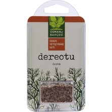 Osmanlı Bahçesi Yerli Dereotu Tohumu Yetiştirme Seti