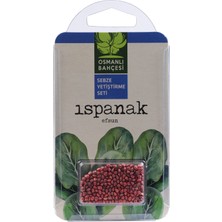 Osmanlı Bahçesi Ispanak Tohumu + Organik Solucan Gübresi Paketi