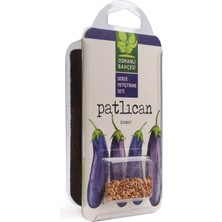 Osmanlı Bahçesi Yerli Patlıcan Tohumu Yetiştirme Seti