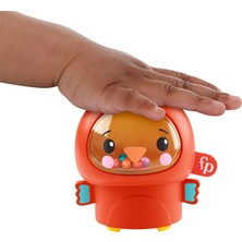 Fisher Price Mini Hayvancıklar GXC65-GXC62