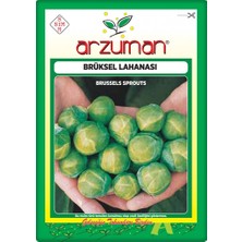 Arzuman Brüksel Lahanası Tohumu (200 Adet)