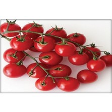 Arzuman Cherry Domates Tohumu (PINPON)(250 Adet)