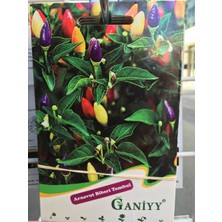 Ganiyy Arnavut Biberi Tombul Tohumu  Güvenilir