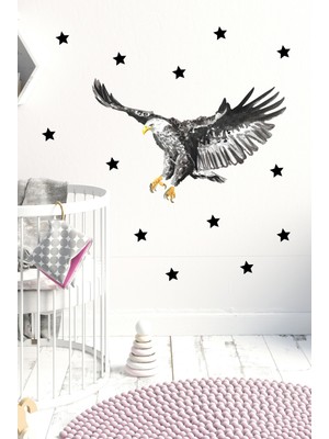 Kt Decoration Kartal Duvar Sticker Seti