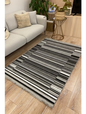 Rugs Modern Mira 2081 Siyah Çizgi Desen Halı