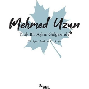 Yitik Bir Aşkın Gölgesinde - Mehmed Uzun