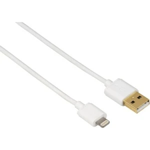 PaLeon 3.1A Lightning Şarj ve Data Kablosu 1 mt