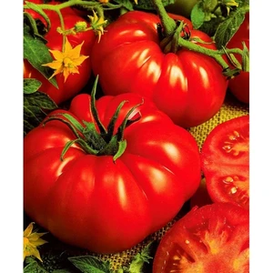 Ege Tarım Lezzetli Köy Domatesi Tohumu