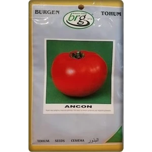 Burgen Tohum Ancon Domates Tohumu 10 gr Iri Domates-Bursa Tohum