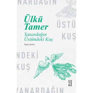 Yanardağın Üstündeki Kuş - Ülkü Tamer