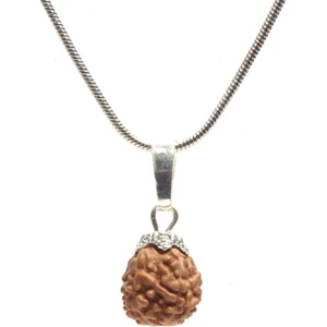 Sahi Aksesuar Rudraksha Tohum Kolye