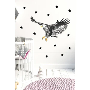 Kt Decoration Kartal Tema Duvar Sticker Seti