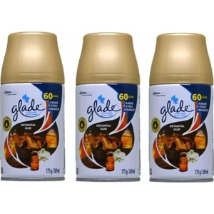 Otomatik Sprey Oda Kokusu Yedek Oryantal Oud 3 x 269 ml