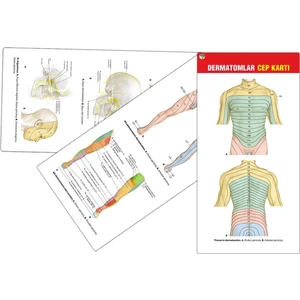 Dermatomlar Cep Kartı