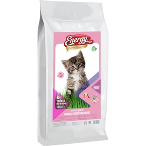 Tavuklu Yavru Kedi Maması-15 Kilogram