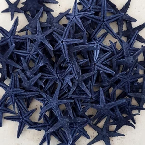 Gerçek Deniz Yıldızı 1-1.5 cm Arası -Mavi-10'lu Paket