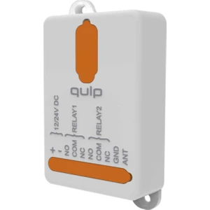 Qulp R1 12/24 Volt Kuru Kontak Alıcı Kart - 1 Kanal (868 Mhz)