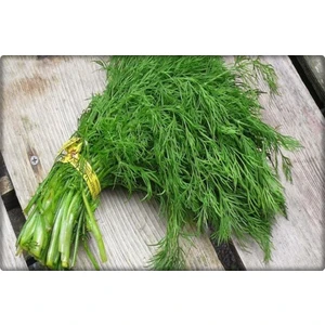 Dereotu Tohumu (25 Gr)