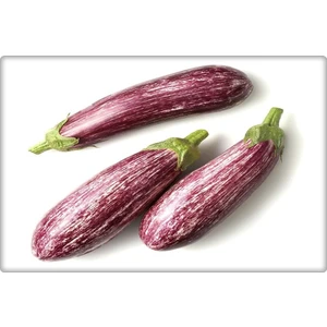 Çizgili Patlıcan Tohumu (10 Gr) Alaca Patlıcan