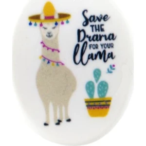 Lama-Kaktüs Silgi Sg22
