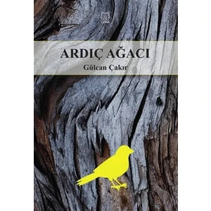 Ardıç Ağacı - Gülcan Çakır
