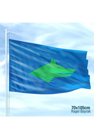 Asilmeydan Göktürk Imparatorluğu Bayrağı 17 Türk Devleti Bayrakları Yeşil Kurt Başı Göktürk